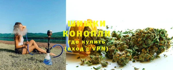 твердый Дмитриев