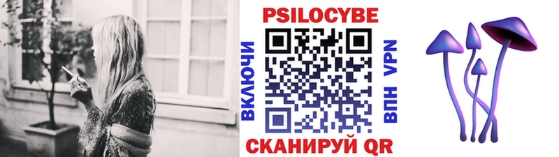 Псилоцибиновые грибы Magic Shrooms Дубовка