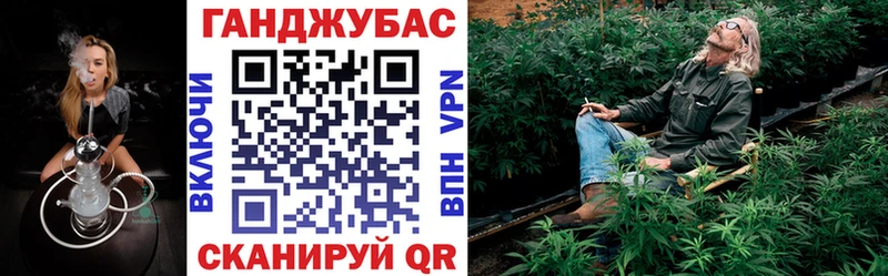 закладки  Дубовка  Бошки Шишки VHQ 